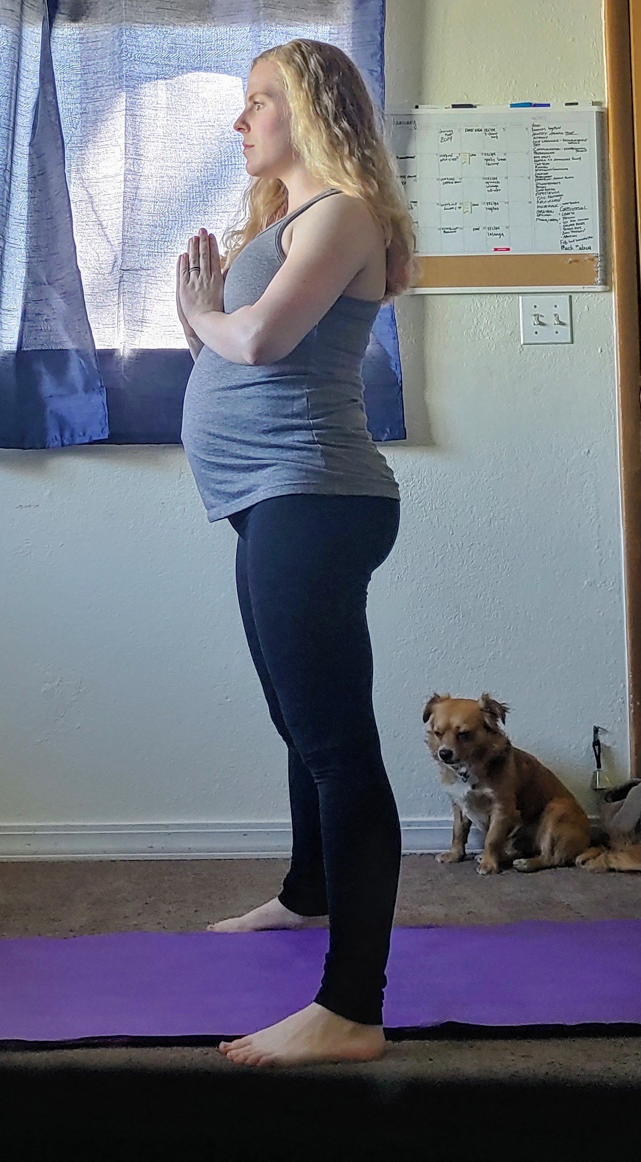 A Pregnancy Squat Challenge for Every Trimester One Fit Mamma