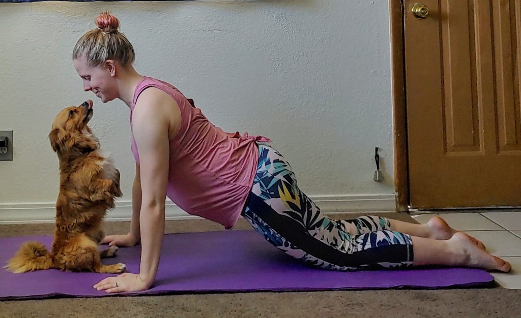 Assisted plank