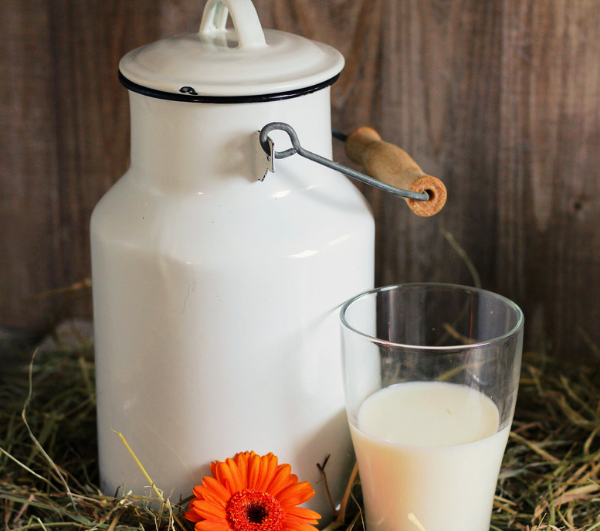 unpasteurized dairy