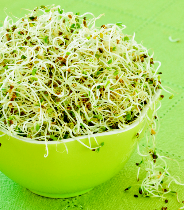 raw sprouts