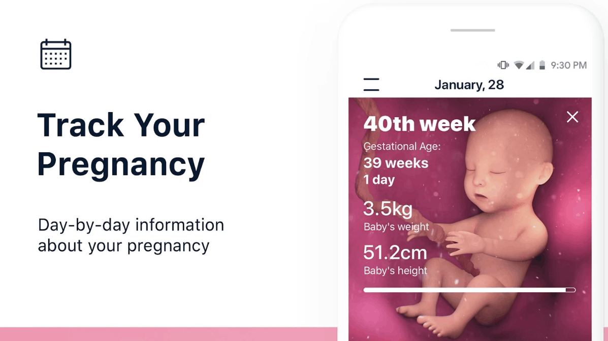 Pregnancy Monitoring App: How to Download for Free