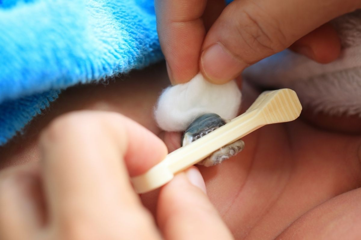 How to Clean and Care for a Newborn’s Belly Button